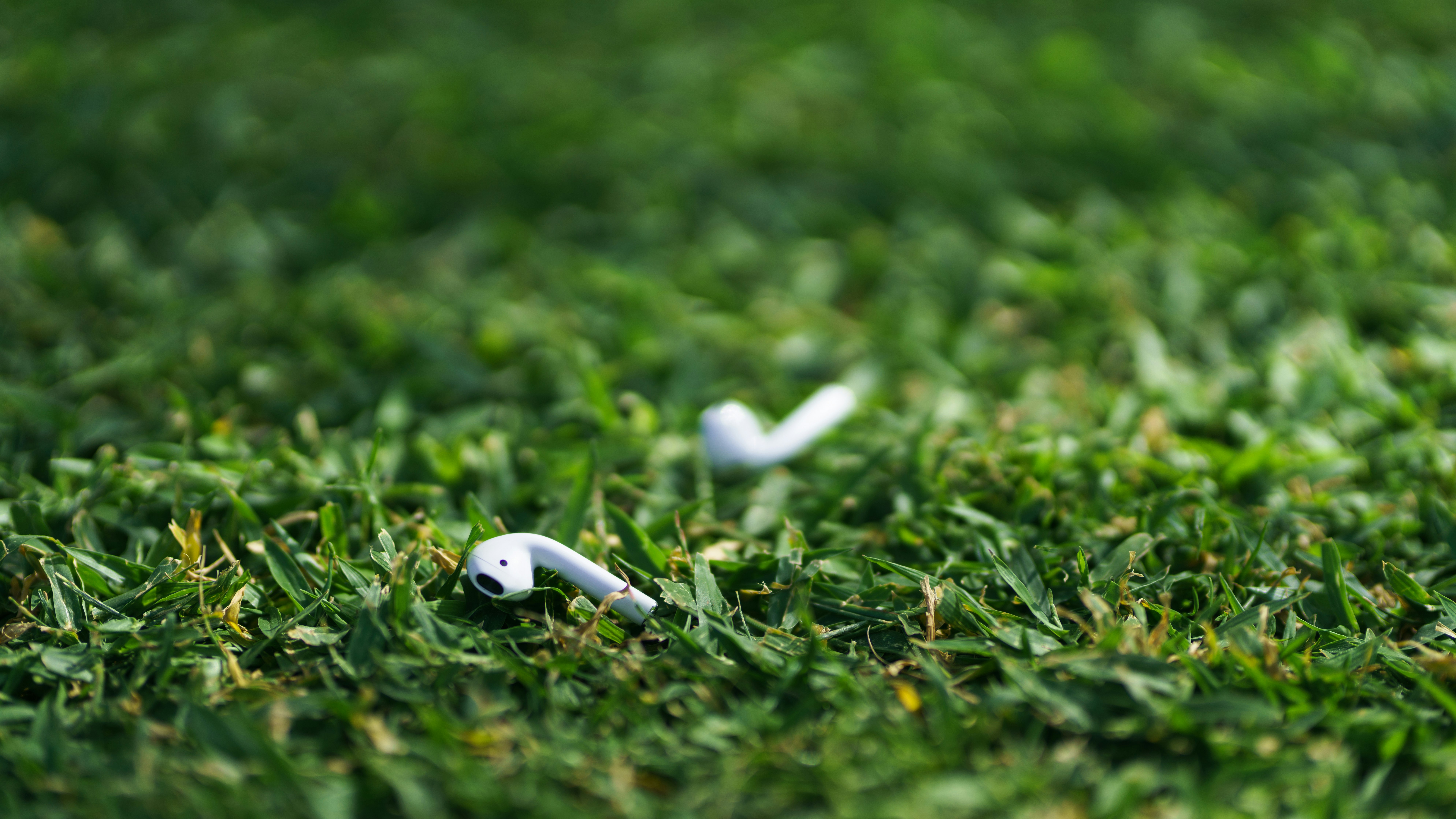 pair of white Apple AirPods in shallow focus